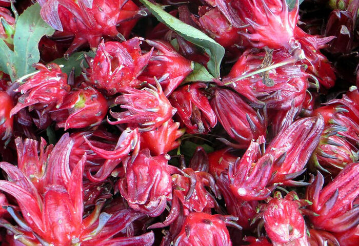 Bissap
