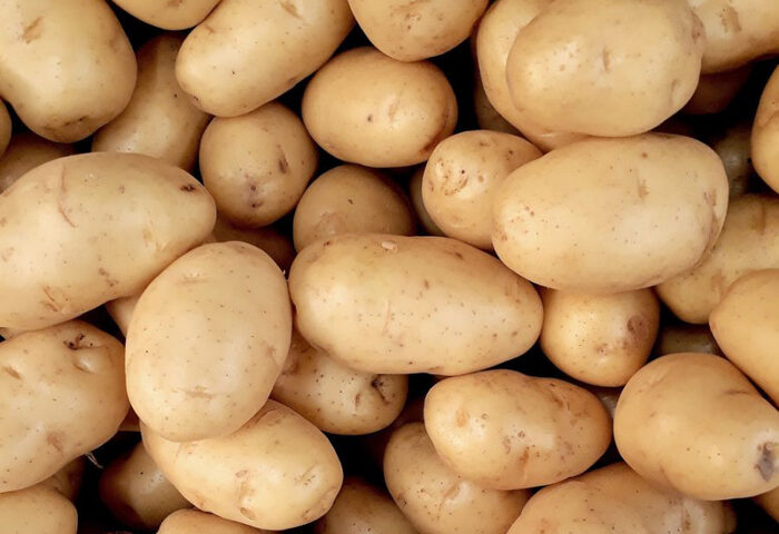 Pomme de Terre